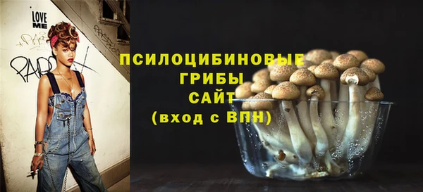 2c-b Абдулино