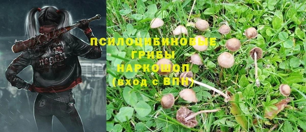 ешки Алзамай